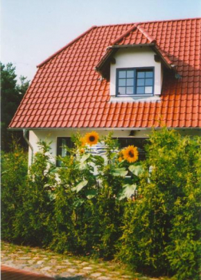 Lindenstr_32b, Zingst